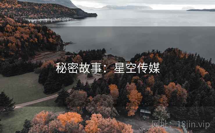 秘密故事：星空传媒