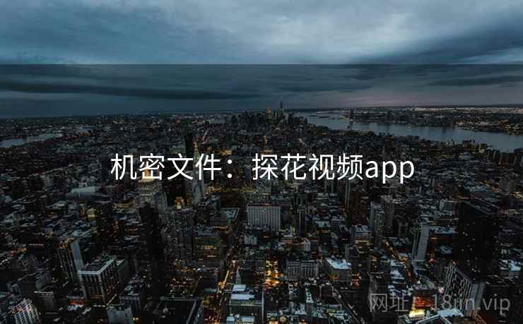 机密文件：探花视频app