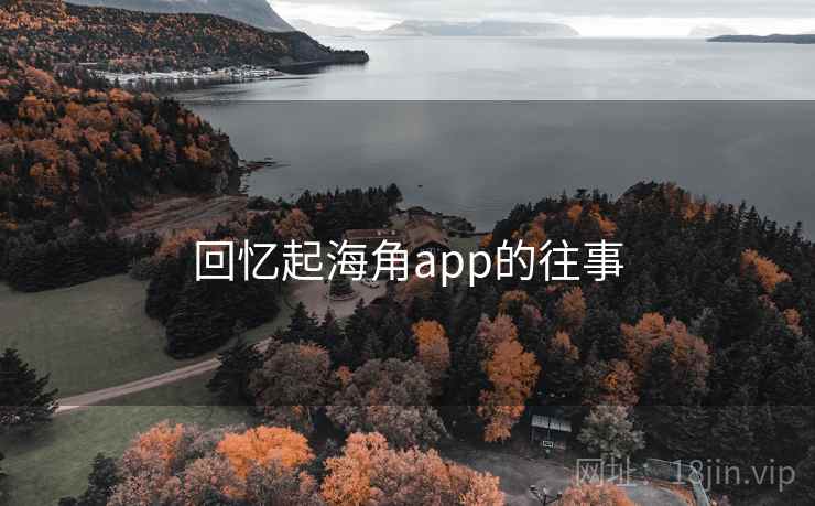 回忆起海角app的往事